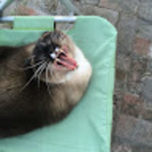 Meet your Posher, Melissa